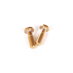 EXO Steering King Pin (TiN Coated) (2pcs)