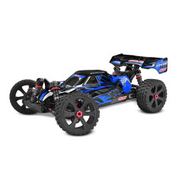 Asuga XLR 6S RTR Racing Buggy - Blue, Large Scale