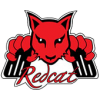 Team Redcat / Redcat Racing